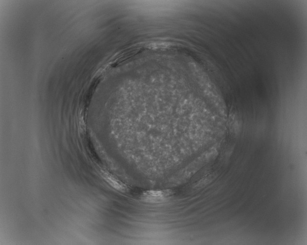 X0000076080381200610202046