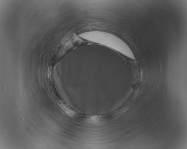 X0000076080382200610202046