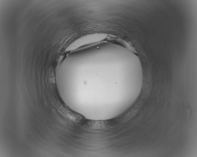 X0000076080384200610202046