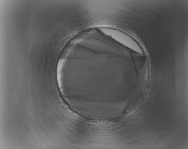 X0000076080385200610202046