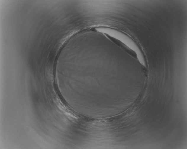 X0000076080386200610202046