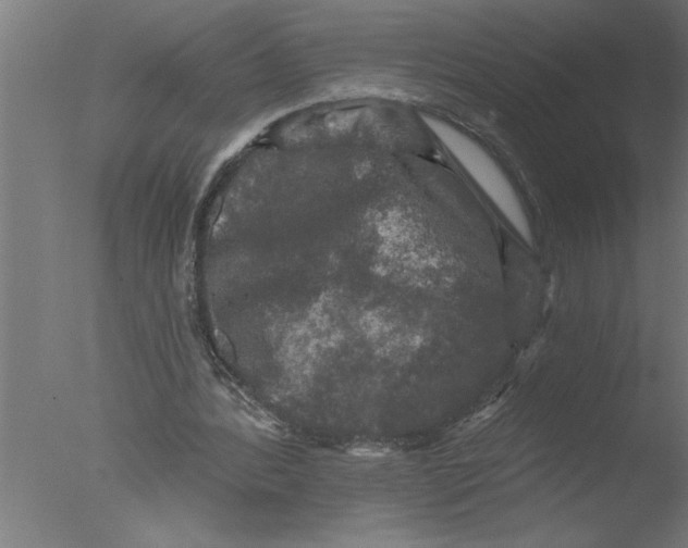 X0000076080388200610202046