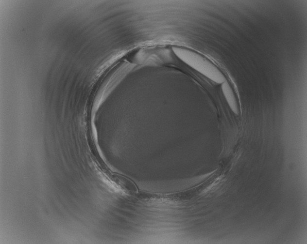 X0000076080389200610202046