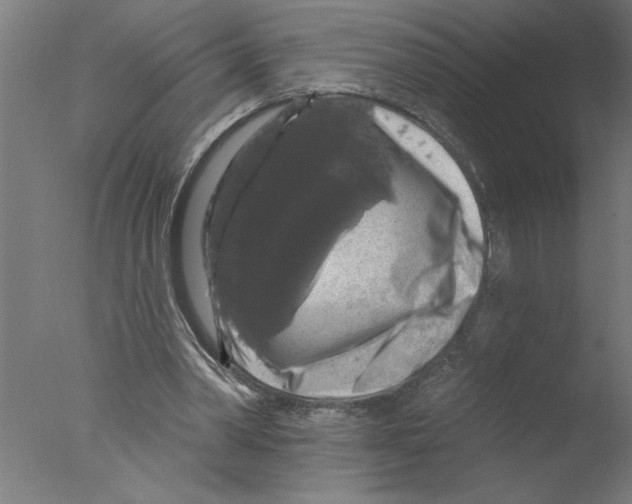 X0000076080390200610202046