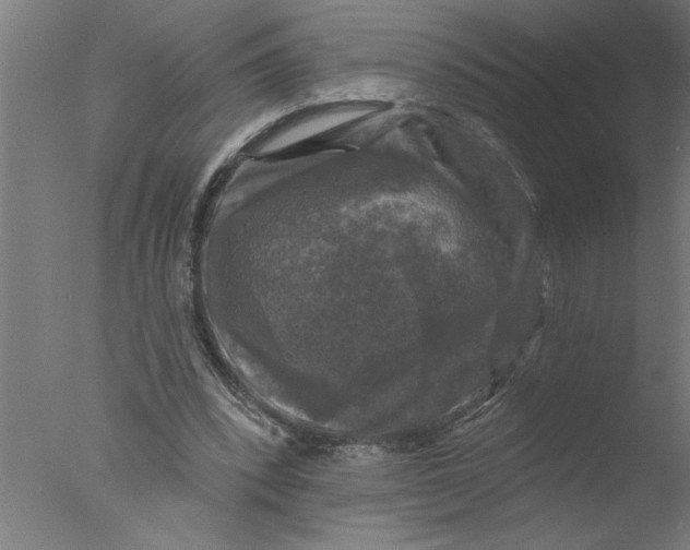 X0000076080392200610202046