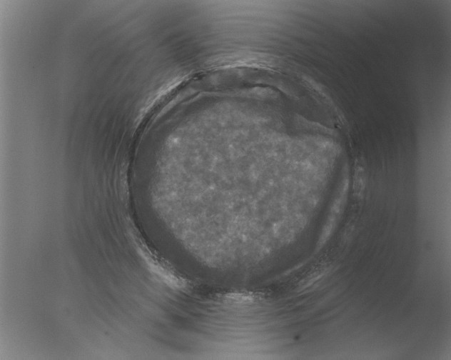 X0000076080394200610202046