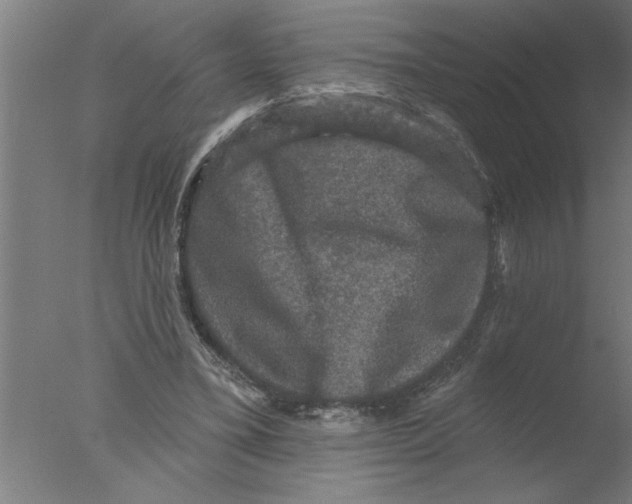 X0000076080395200610202045