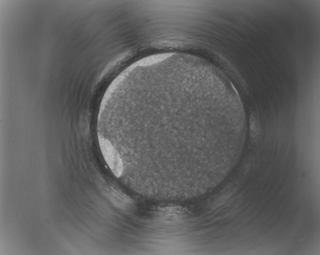 X0000076080396200610202045