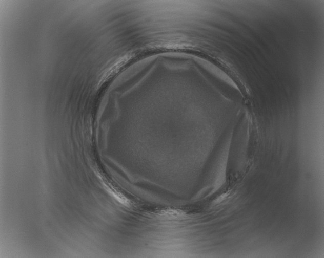 X0000076080397200610202045