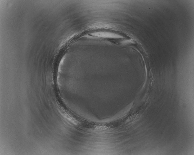 X0000076080399200610202045