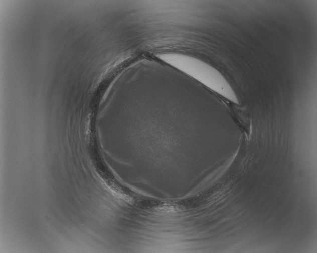 X0000076080404200610202045