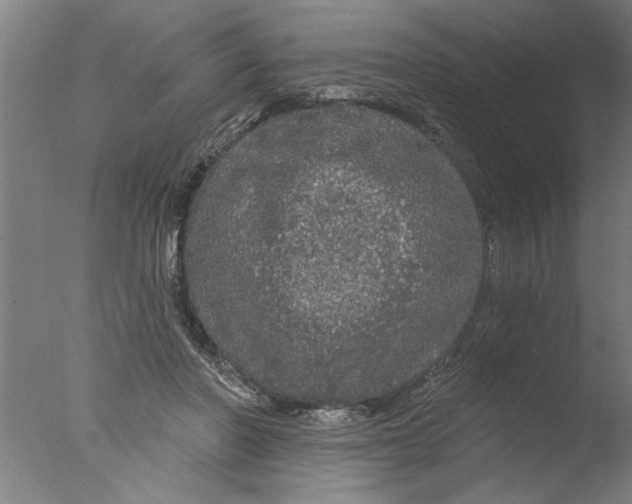 X0000076080406200610202045