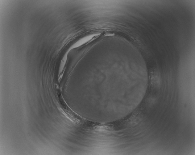 X0000076080408200610202045