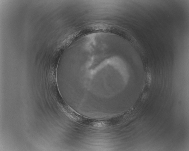 X0000076080411200610202045