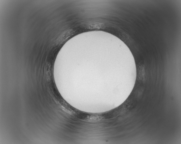 X0000076080414200610202045