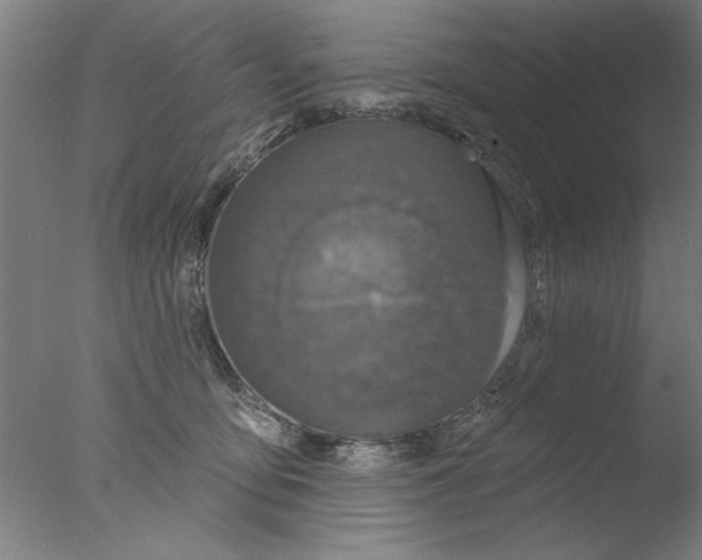 X0000076080419200610202045