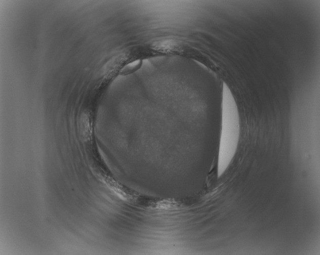 X0000076080420200610202045