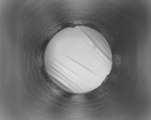 X0000076080422200610202045