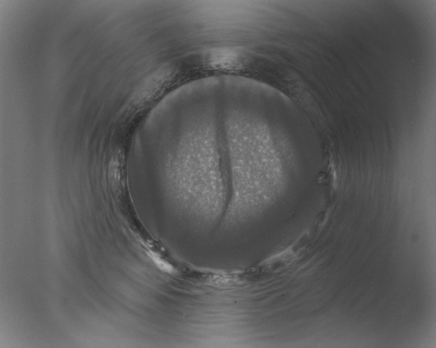 X0000076080424200610202045