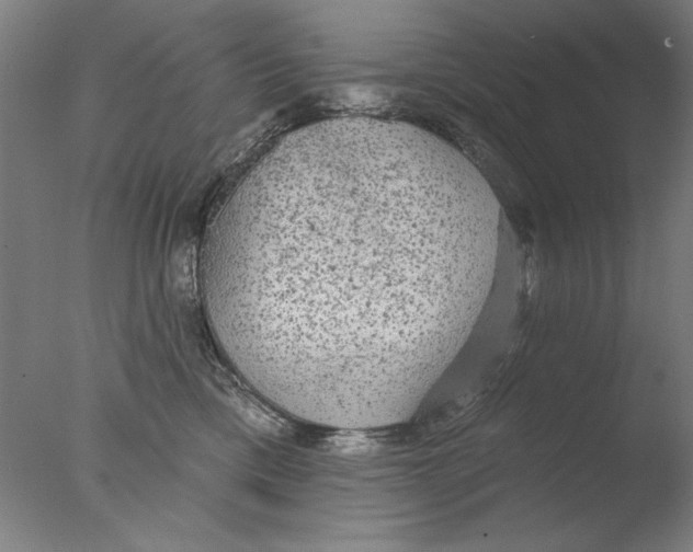 X0000076080425200610202045