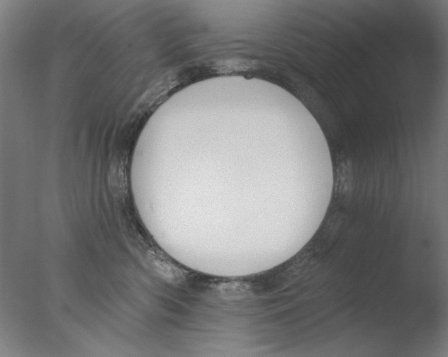 X0000076080426200610202045