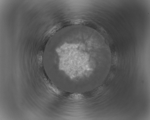 X0000076080427200610202045