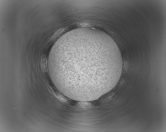 X0000076080429200610202045