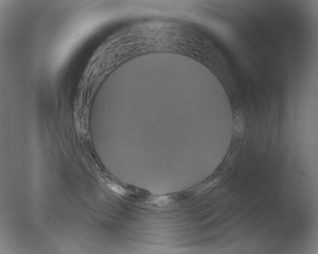 X0000076080431200610202045