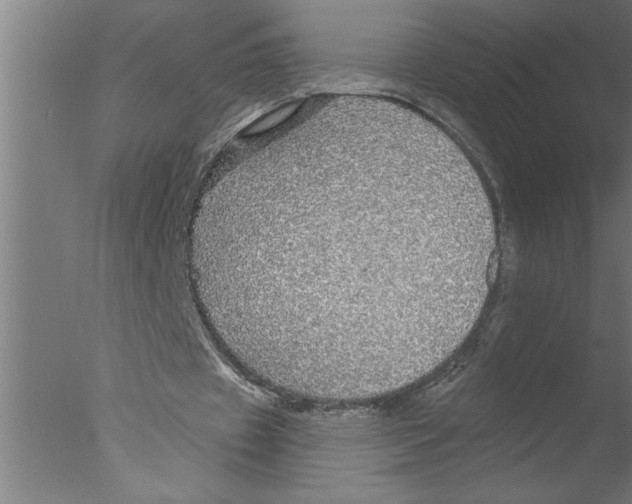 X0000076080433200610202044