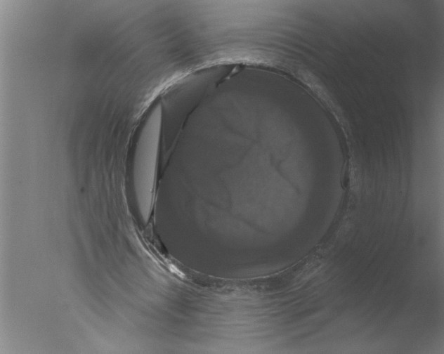 X0000076080434200610202044