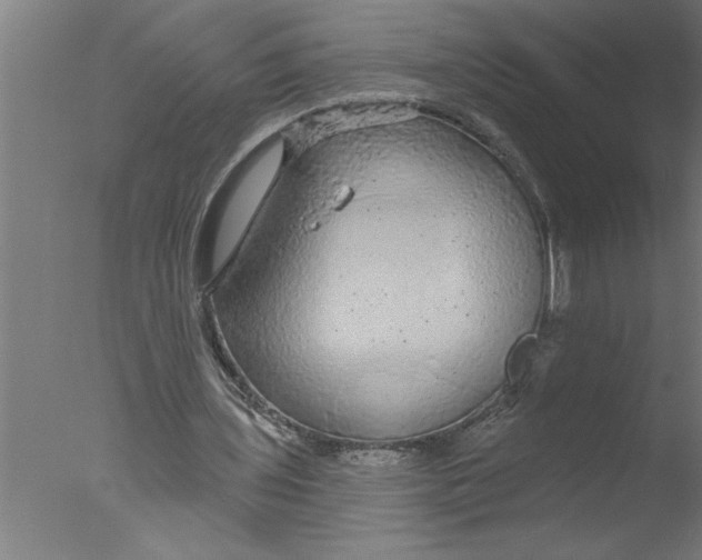 X0000076080435200610202044