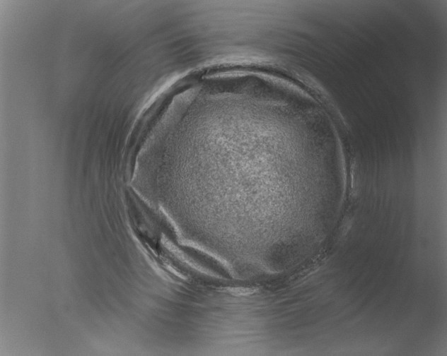 X0000076080436200610202044