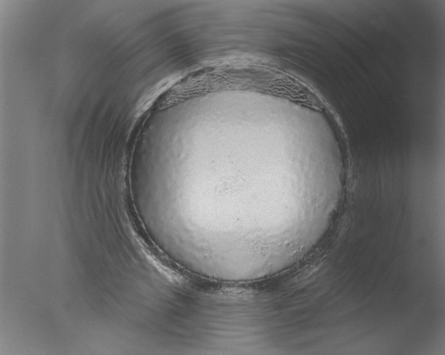 X0000076080437200610202044