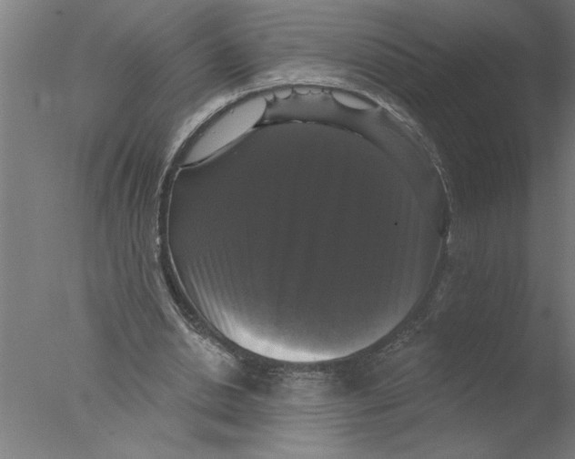 X0000076080438200610202044