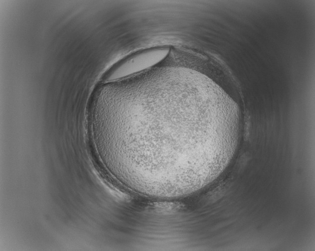 X0000076080439200610202044