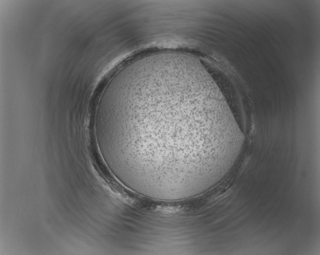 X0000076080440200610202044