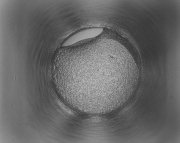 X0000076080441200610202044