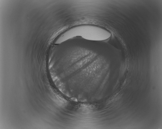 X0000076080442200610202044