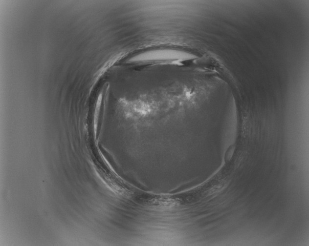 X0000076080443200610202044