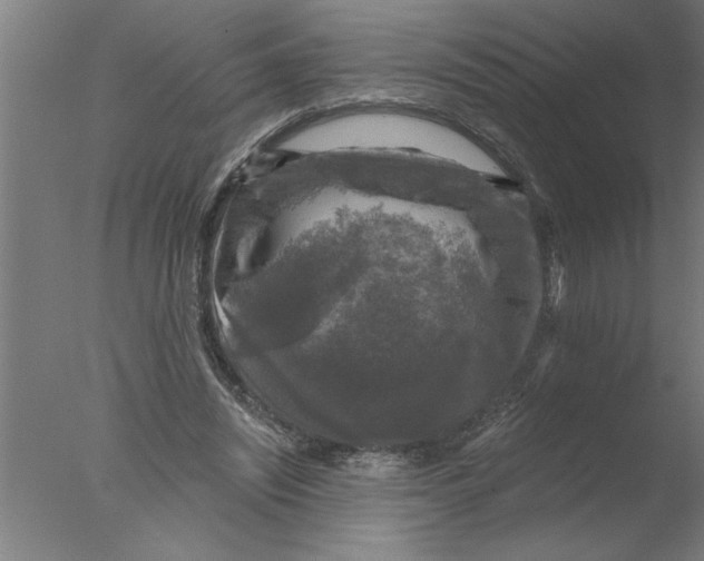 X0000076080444200610202044