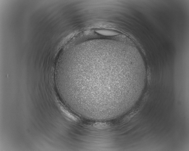 X0000076080445200610202044