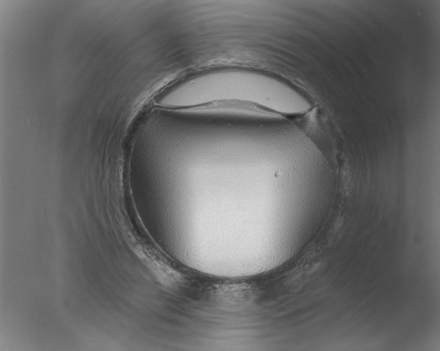 X0000076080446200610202044