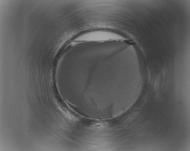 X0000076080447200610202044