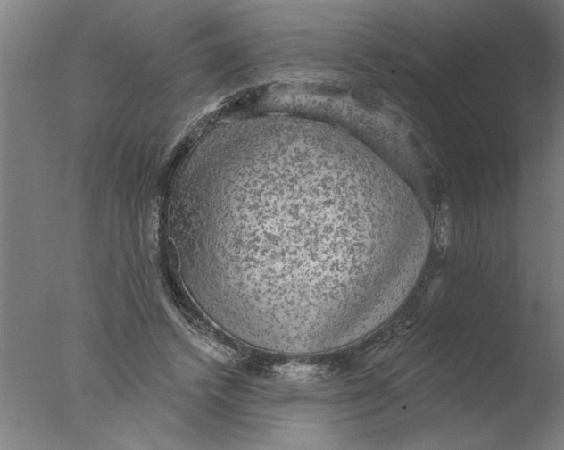 X0000076080448200610202044