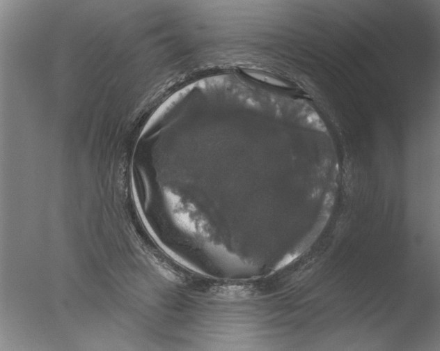 X0000076080449200610202044