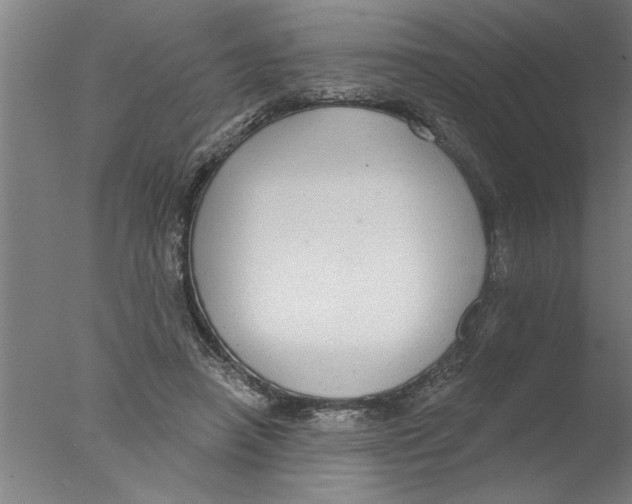 X0000076080450200610202044