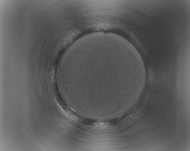 X0000076080451200610202044