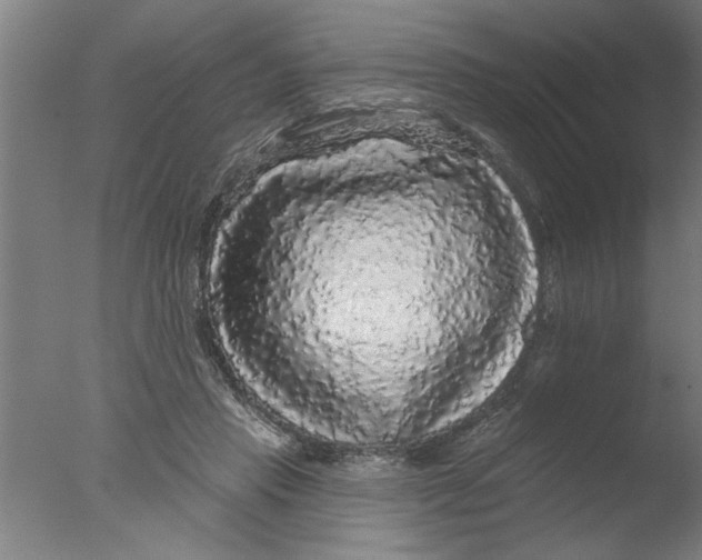 X0000076080453200610202044