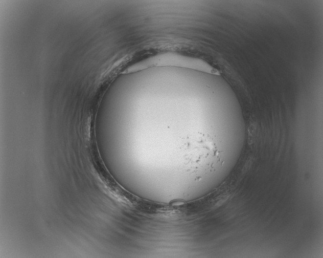 X0000076080454200610202044