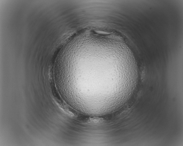 X0000076080455200610202044